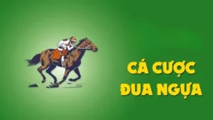 Khám Phá Cá Cược Đua Ngựa 58Win Với Tỷ Lệ Thắng Cực Hấp Dẫn